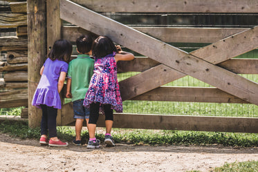 kids at the farm