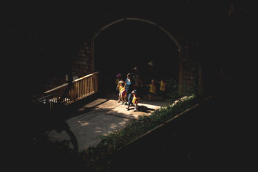 kids on field trip