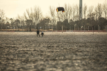 kite flying at beach
