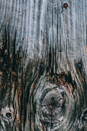 knot in aged wood texture