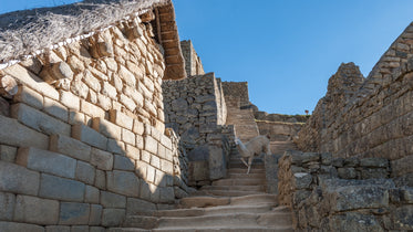 lama on steps