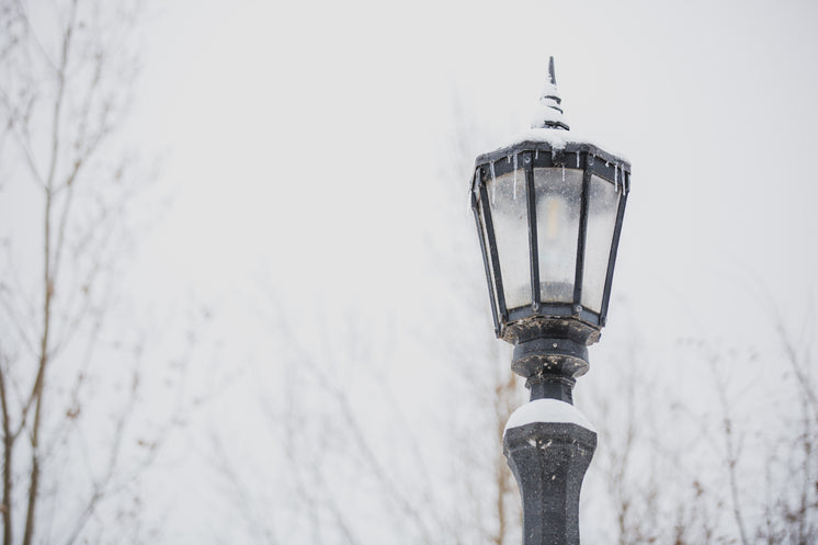 lamppost in winter - How Apple Cider Vinegar Will allow you to Lose Weight
