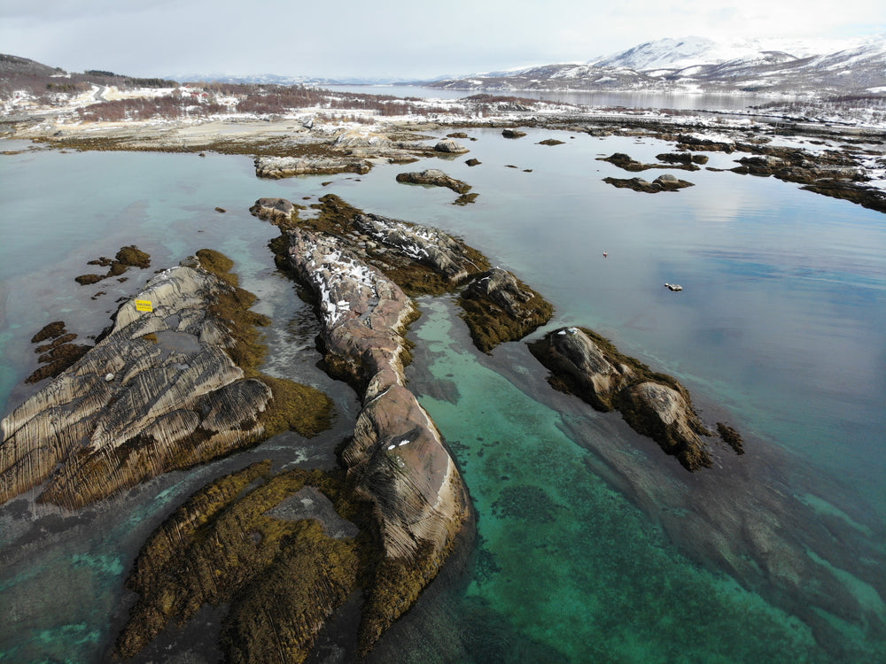 landscape frozen in winter beyond a calm lake