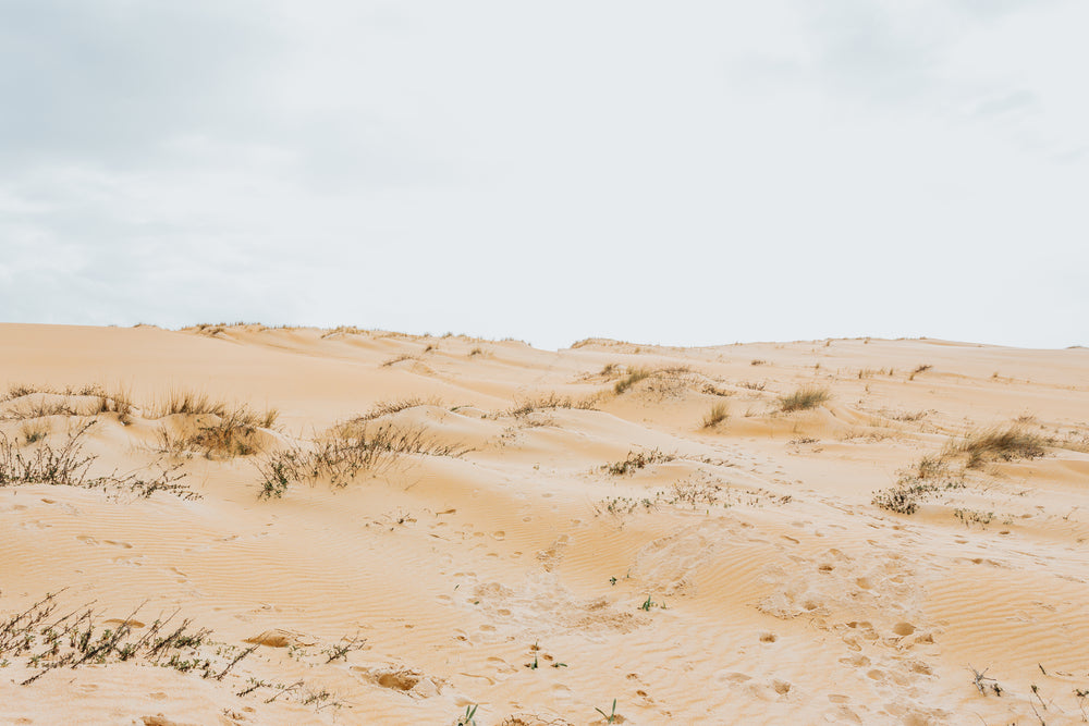 landscape of a sandy beach and rolling hills