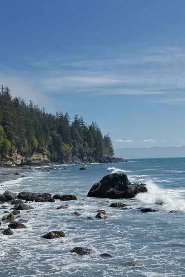 landscape of a tree lined ocean coast