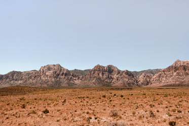 landscape of brown grass with rocky mountains