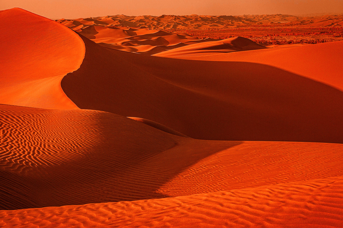 沙漠中沙质波纹纹理的景观