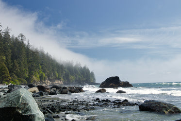 landscape of trees rocks and water shoreline