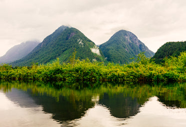 landscape shot of green mountains below foggy sky