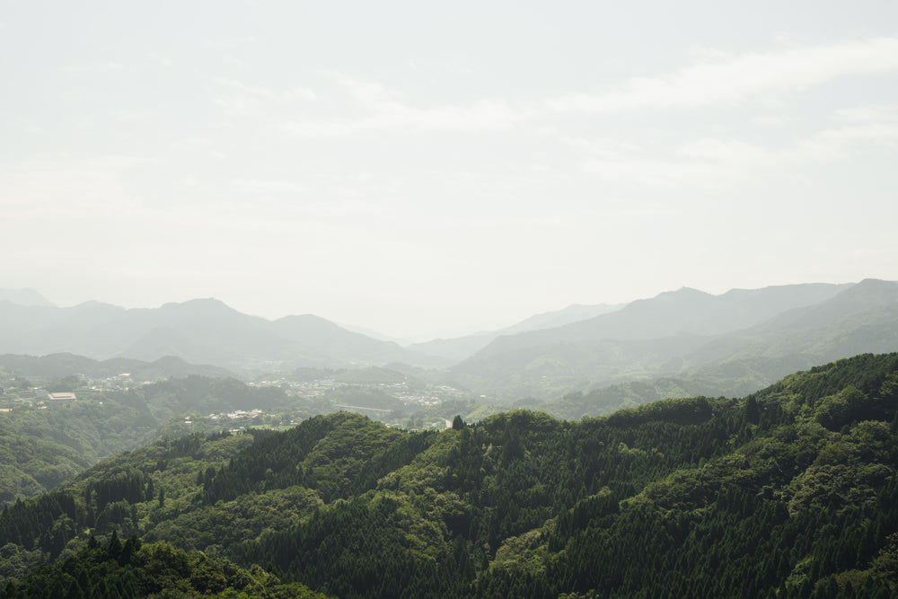 landscape with misty hills in distance