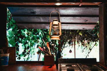 lantern lit jungle hut