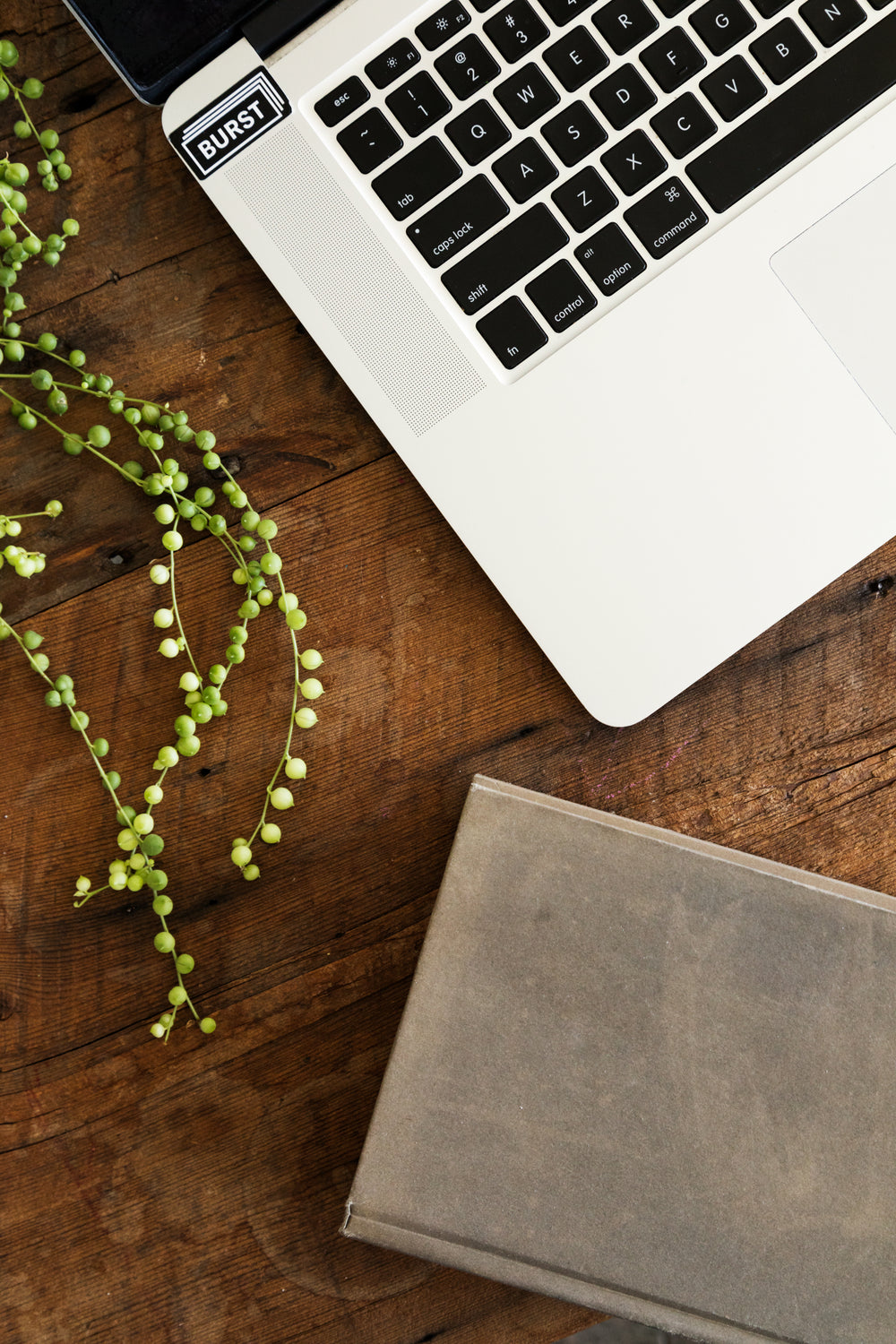 laptop, livro e planta