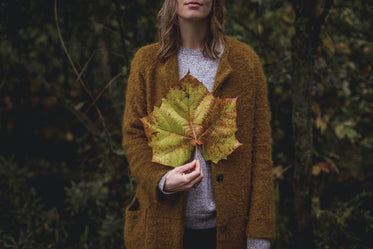 large fall leaf in hand