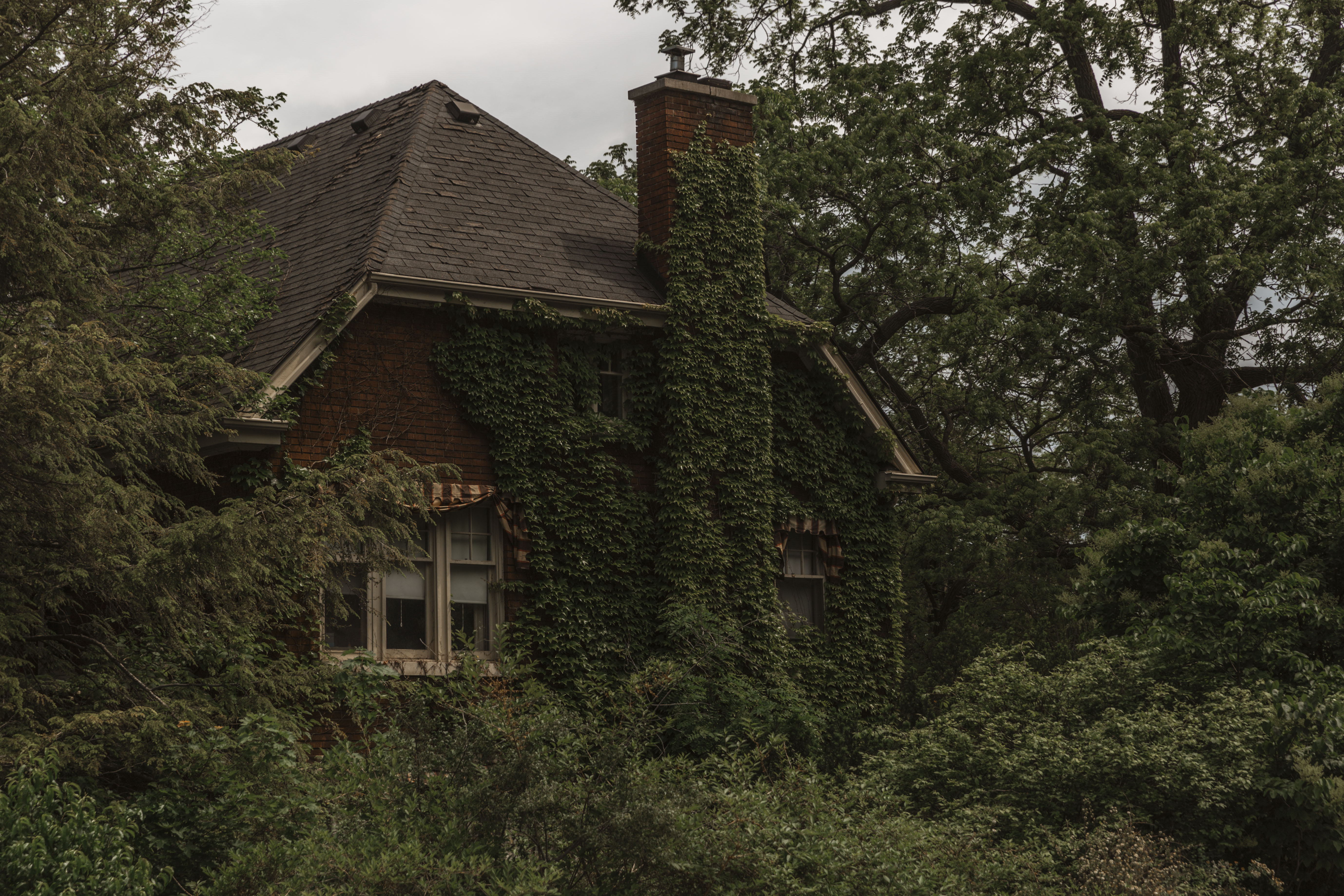 Browse Free HD Images of Large House With Green Ivy Growing Up The Side