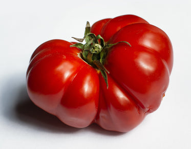 large ripe red heirloom tomato