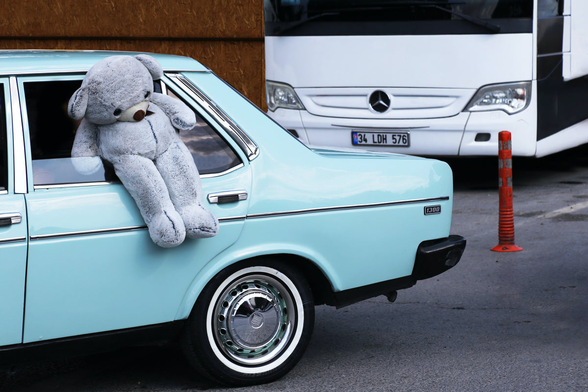 large teddy bear stuck in a cars open window