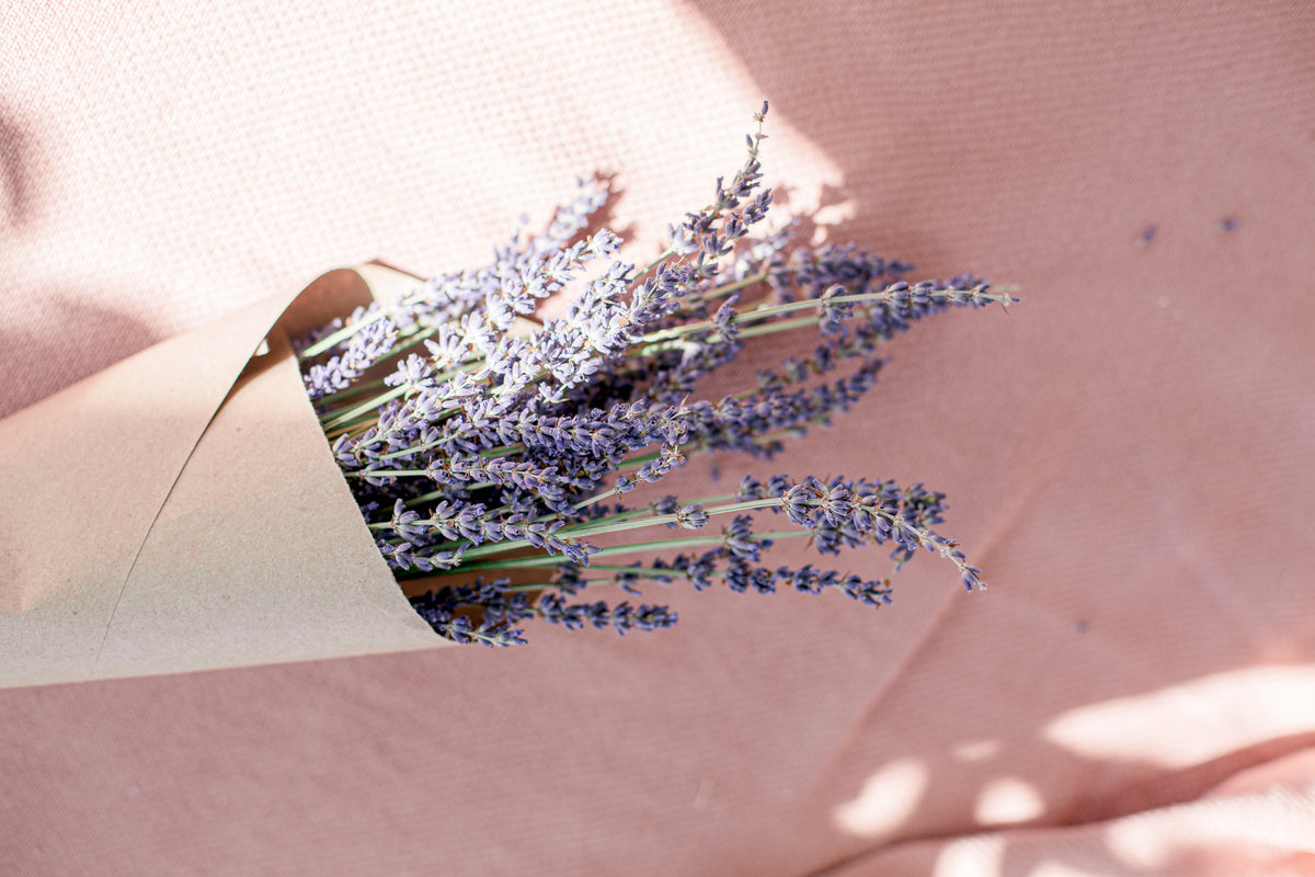 lavender bundle on a pink table