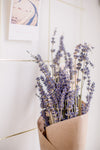 lavender flowers wrapped in paper