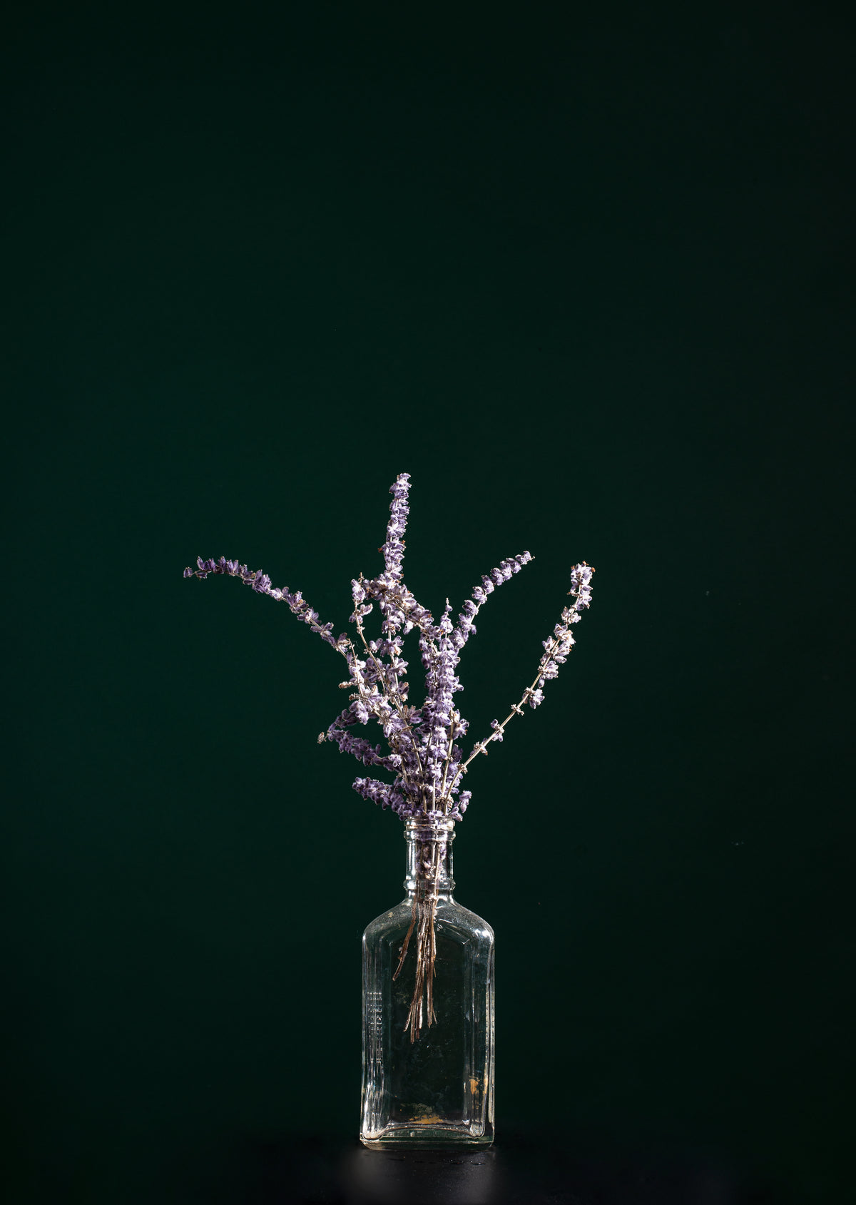 lavender in a claer glass bottle
