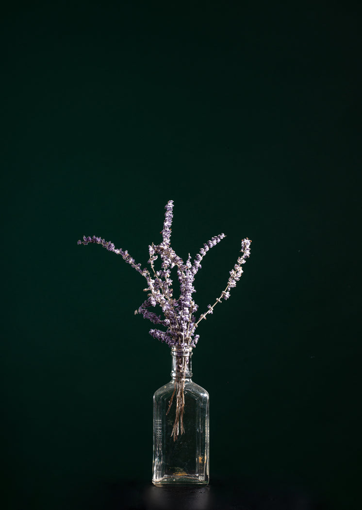 lavender-in-a-claer-glass-bottle Mengisi Sekarang Luang Secara Bermain Judi Online