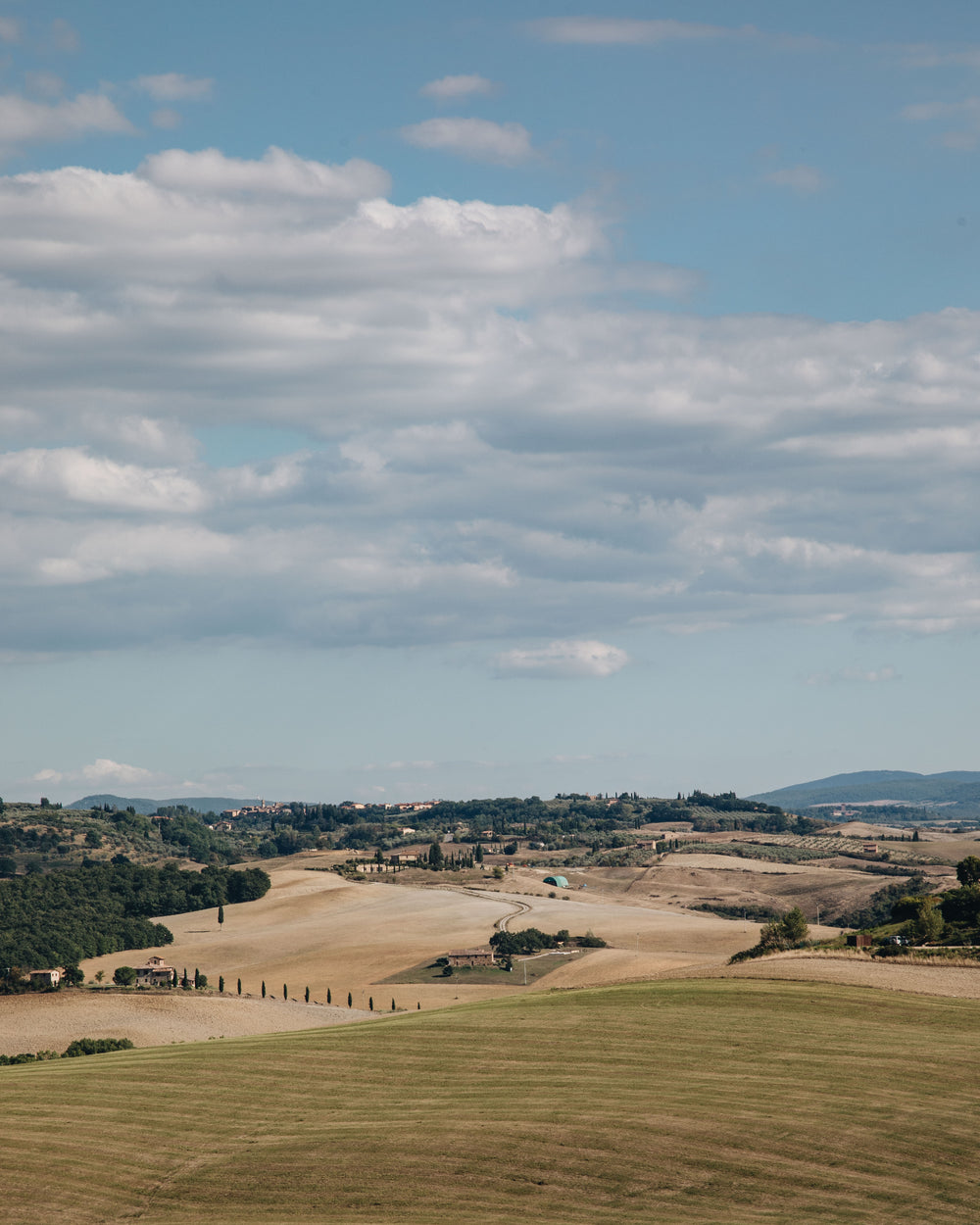 leading lines of green fields and dirt roads