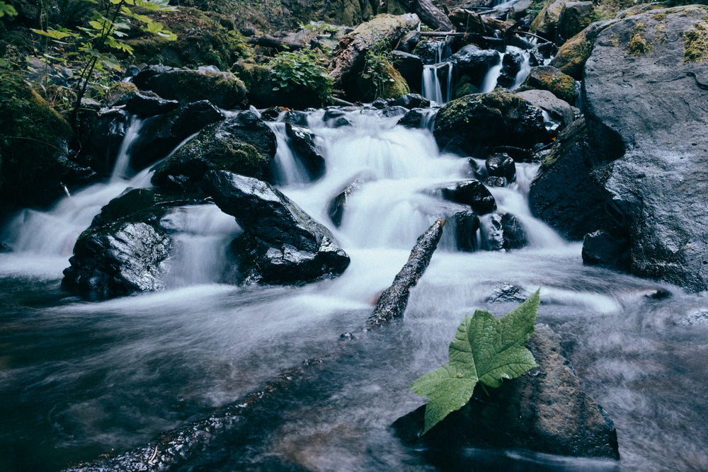 leaf balances on rock by waterfall