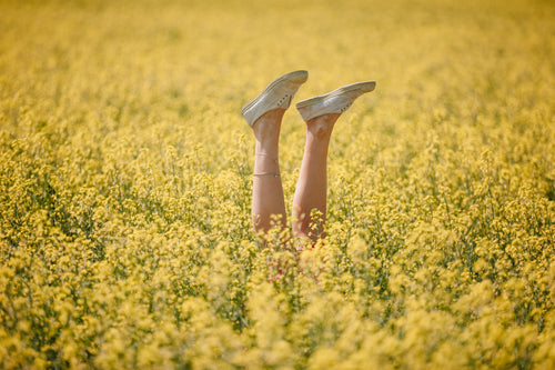 legs and yellow flowers