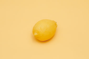 lemon fruit yellow background