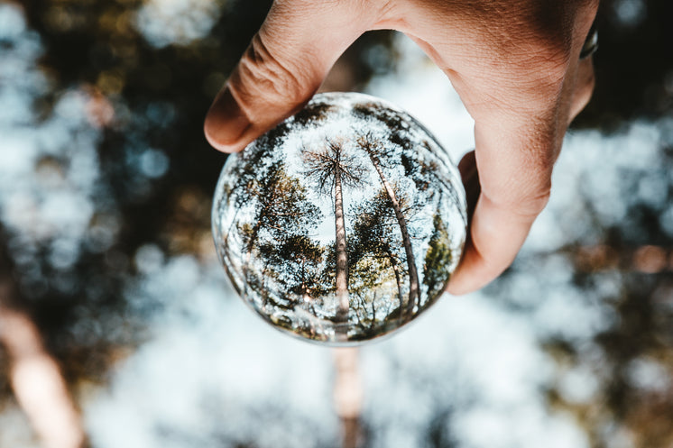 Lens Ball Tree