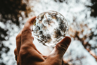 lens ball trees lookup