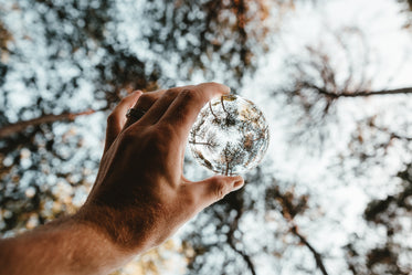 lensball and trees