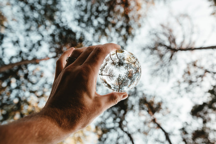 Lensball And Trees