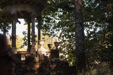 light captures the stonework in the trees