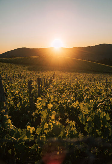 light glares as sun sets under mountains