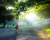 light shining through leaves as woman cycles through park