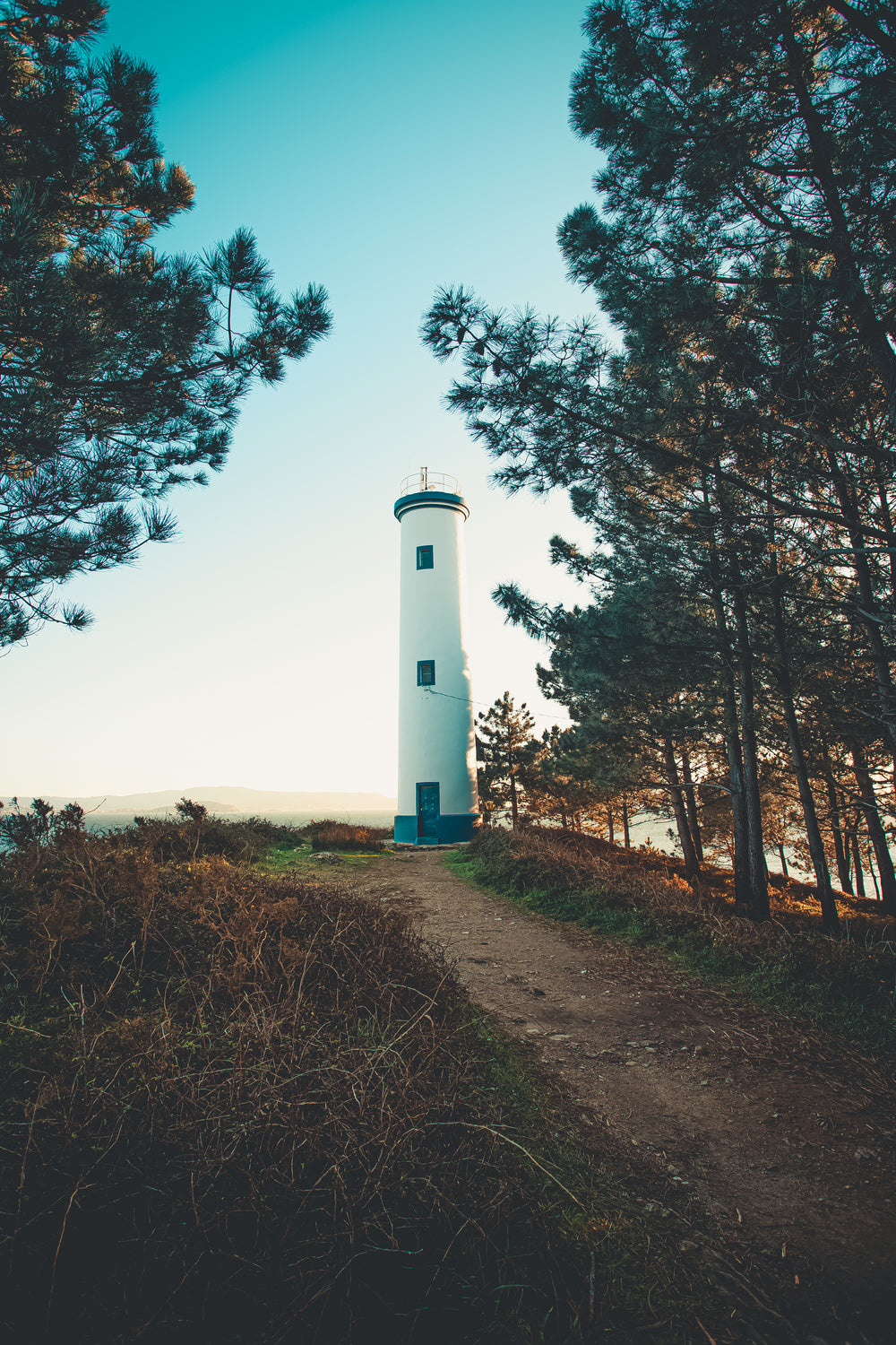 lighthouse at the edge of treeline