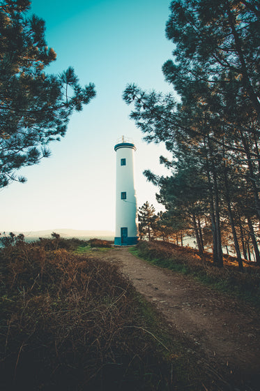 lighthouse at the edge of treeline