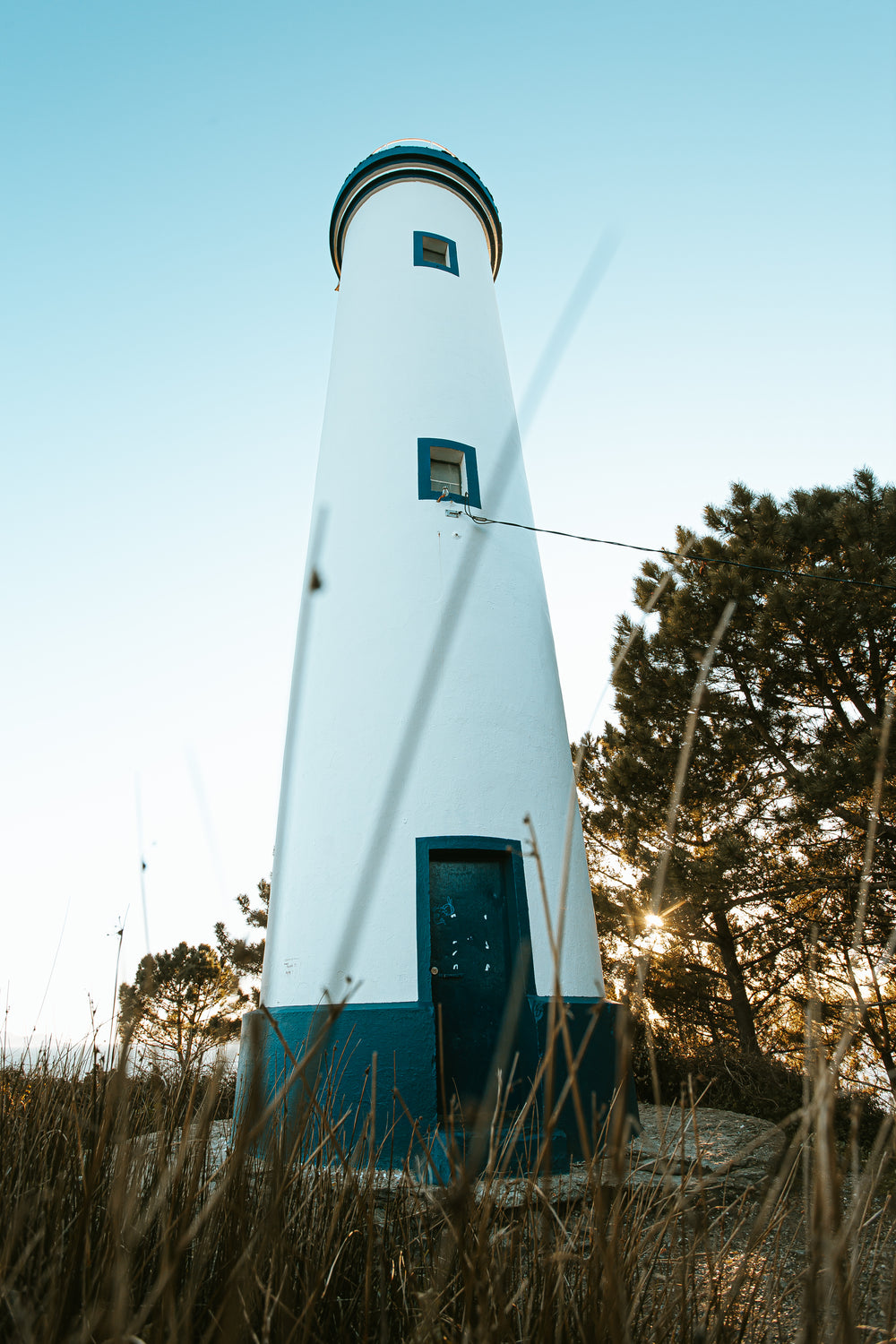 lighthouse towers over trees