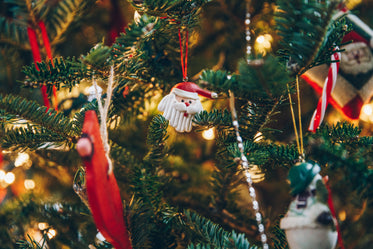 lights and ornaments on tree