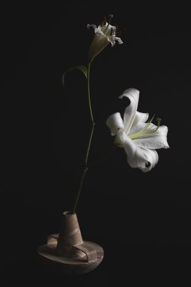 lilies in a vase