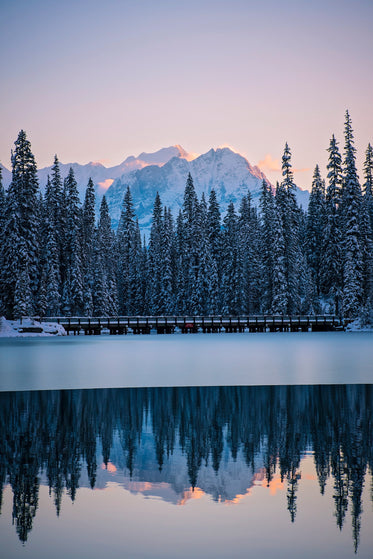 line of frosty pines separates frozen lake from mountains