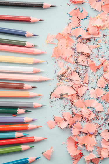 line of pencils and shavings