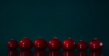 line of rich red berries on blue background