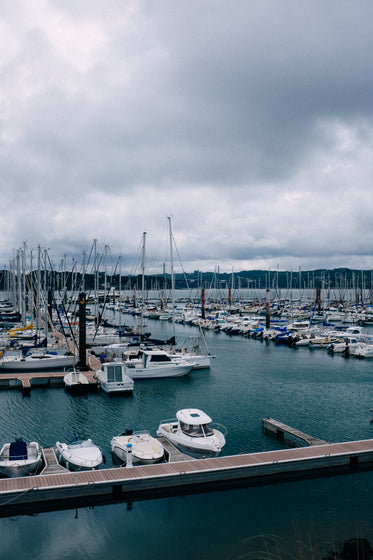 lines of boats moored in a marina