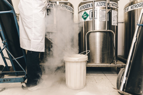 liquid nitrogen in bucket at lab
