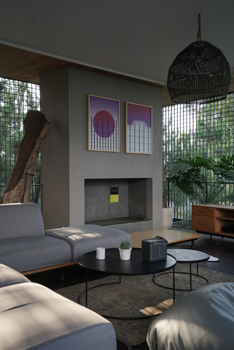 living-room-bathed-in-natural-light-through-a-window.jpg?width=746&format=pjpg&exif=0&iptc=0