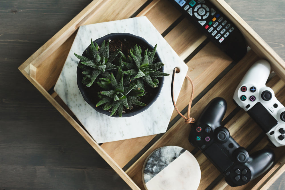 livingroom tray with plant and game controllers