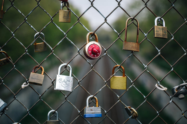 locks-on-the-metal-fence.jpg?width=746&format=pjpg&exif=0&iptc=0