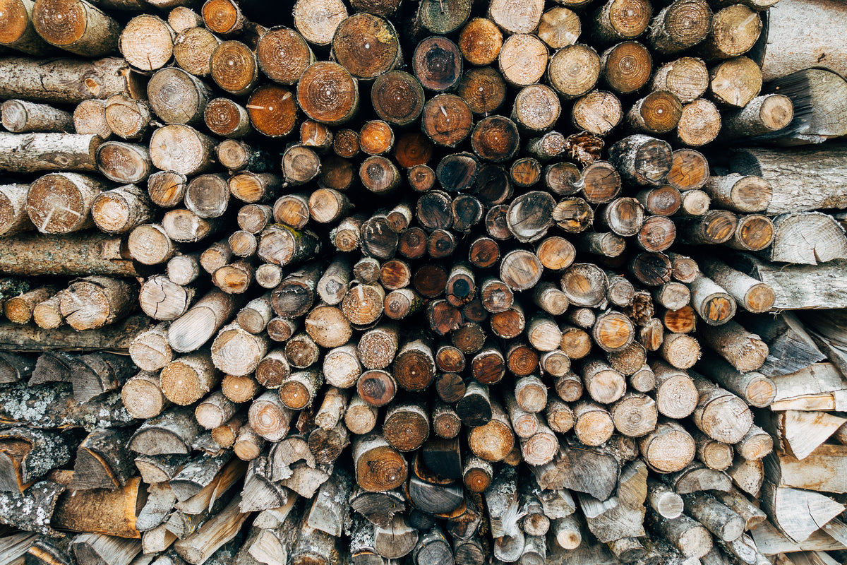 logs of all shapes and sizes