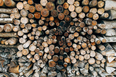 logs of all shapes and sizes